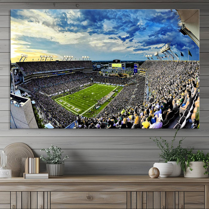 USF Bulls Football Team Print - Tampa Raymond James Stadium Wall Art Canvas Print