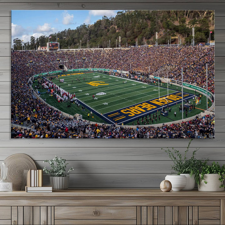 University of California Golden Bears Football Team Print - Berkeley California Memorial Stadium Wall Art Canvas Print