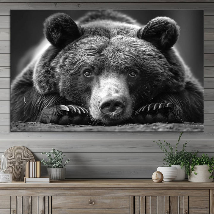 Resting Grizzly Bear Canvas Print | Ready to Hang Wall Art | Rustic Cabin & Farmhouse Decor | Wildlife Art