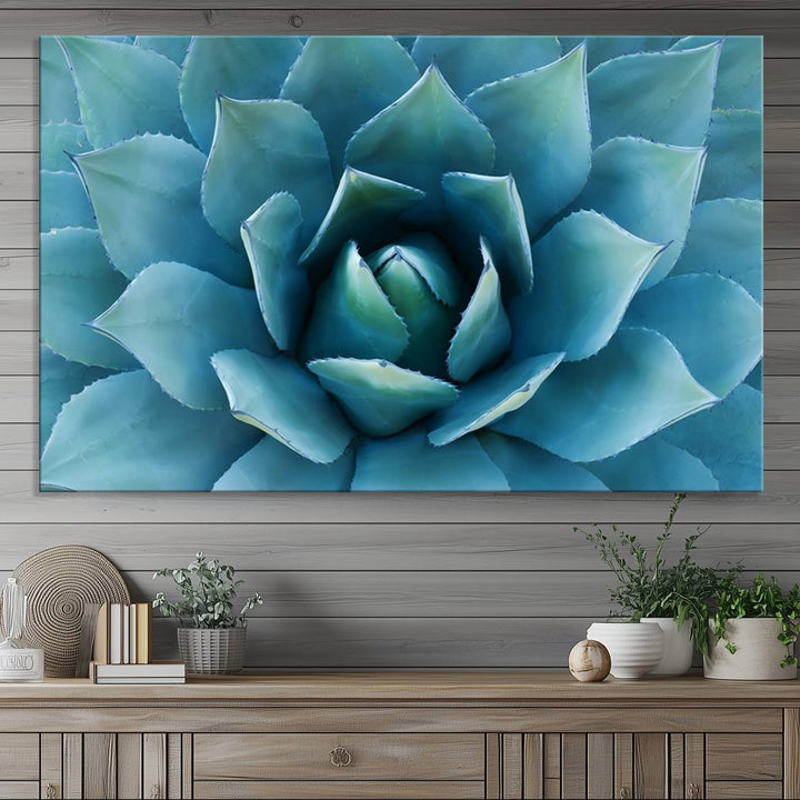 The Large Agave Succulent Canvas Wall Art is displayed on the wall.