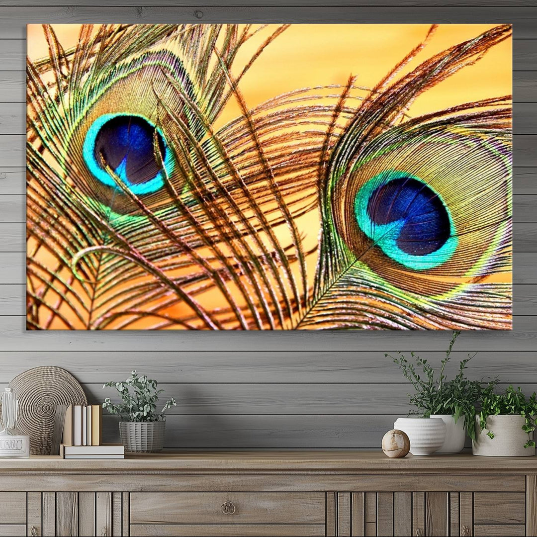 The room features vibrant peacock feather wall art.