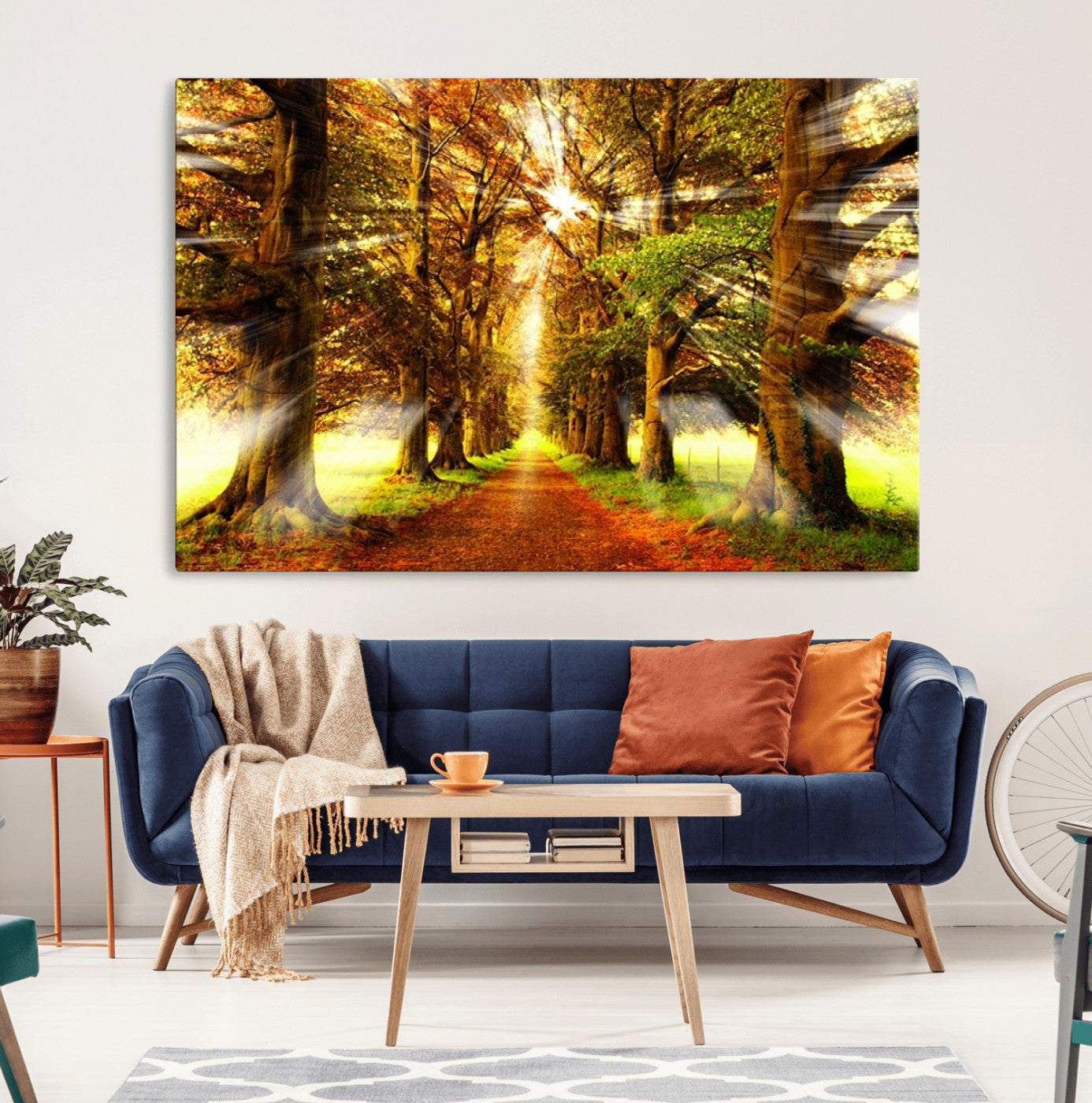 50243-MGV-CV-36X24-Sunshine in Forest and Trees Wall Art Canvas Print