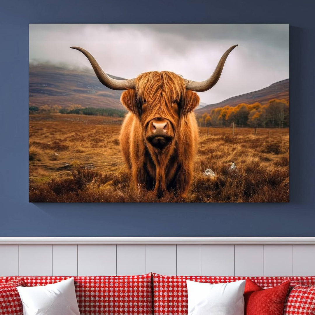 Highland Cow Longhorn Canvas Print, framed, on a wooden wall.