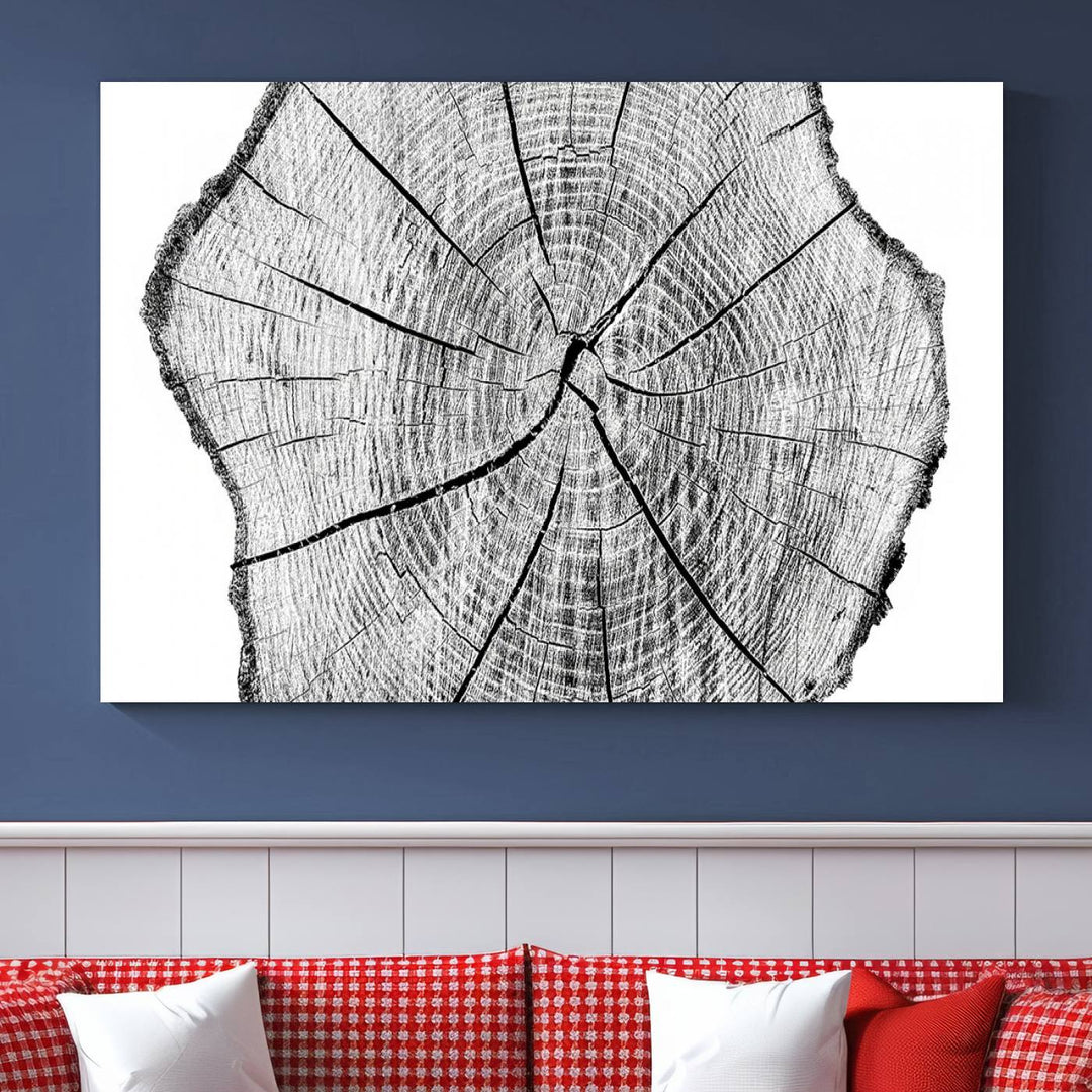 Black and white tree ring art print.