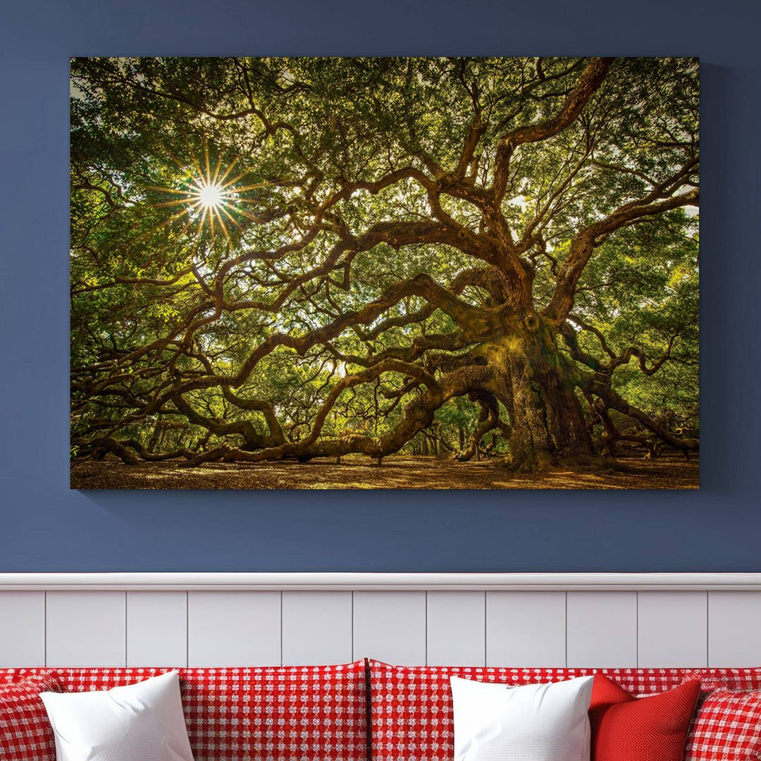 The Ancient Angel Oak Tree Art Sunburst Canvas Print, a framed triptych, serves as wall art.