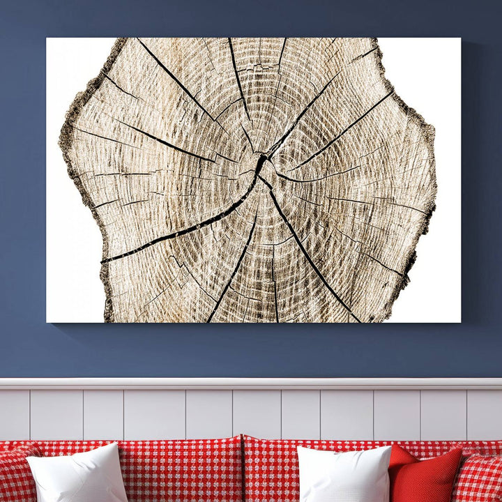 The Abstract Wood Tree Ring Wall Art set of 3 adds a minimalist touch to the space.