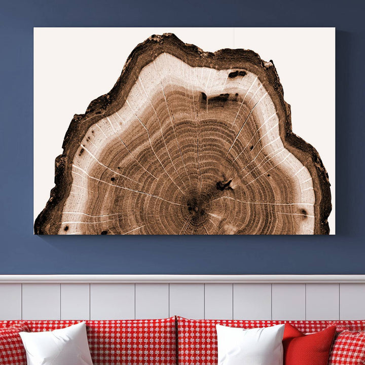 Rustic Wood Rings Wall Art | Nature-Inspired Tree Ring Canvas Print | Ready to Hang and Framed for Farmhouse Wall Decor