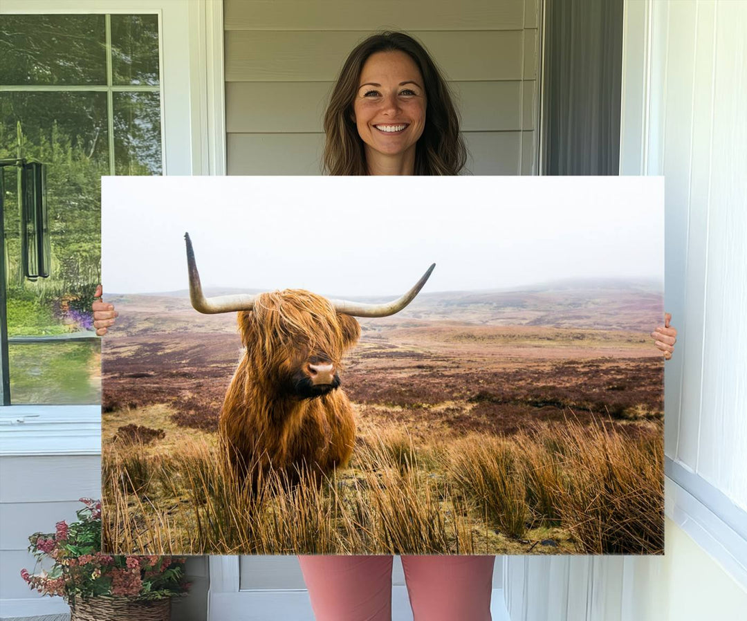 A ready-to-hang Scottish Highland Cow Cattle Canvas Wall Art.