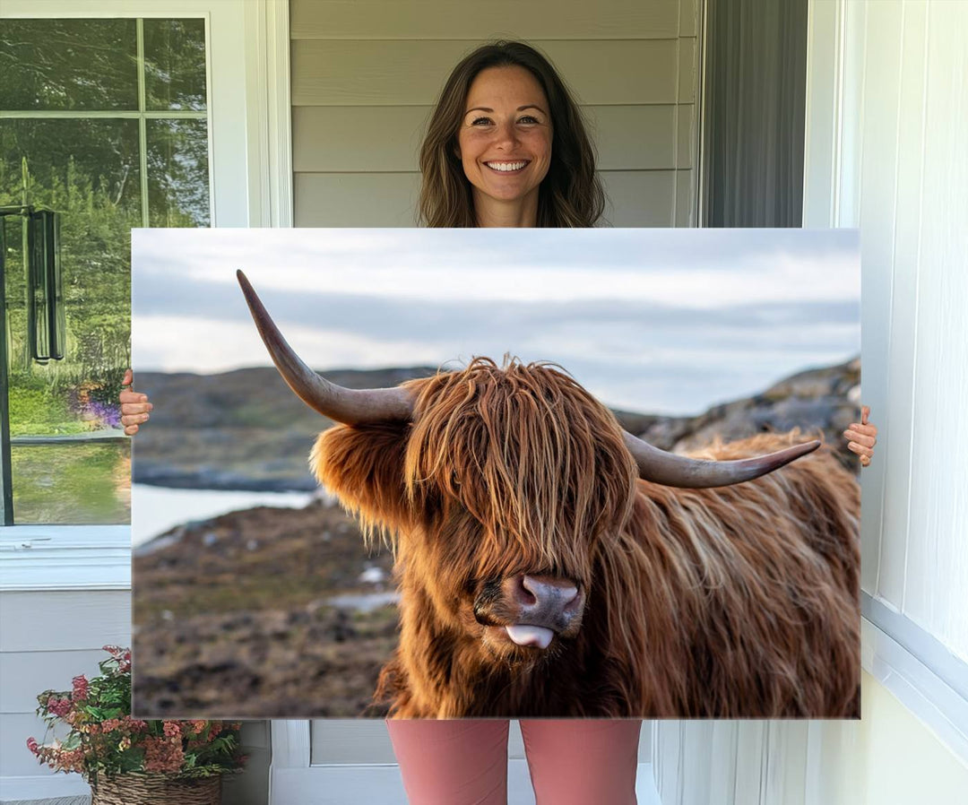 The Cuddly Highland Cow Canvas hangs, adding charm with its shaggy elegance.