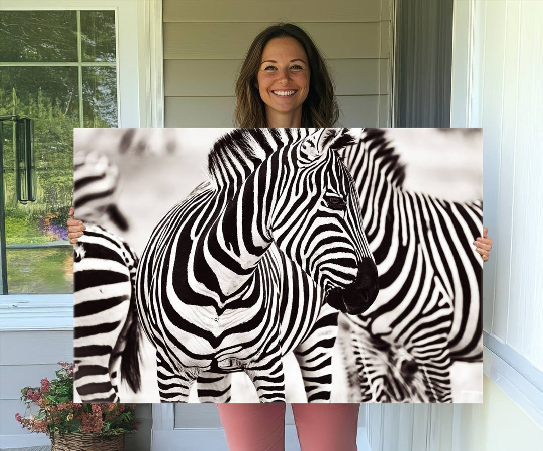 The Brilliant Zebra Photography Art Canvas Print hangs prominently on the wall.