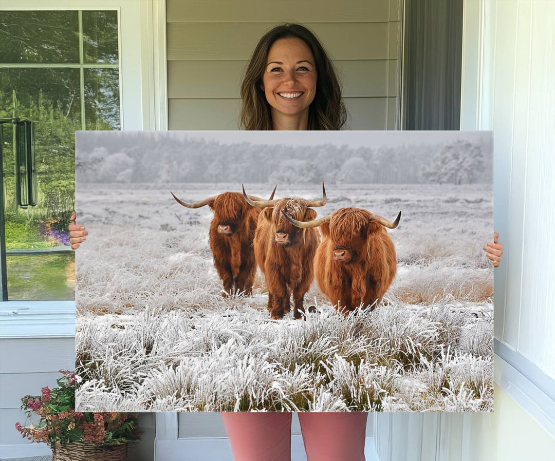 The Highland Cows in Snow canvas showcases three cattle in a frosty field.