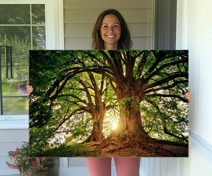 Majestic Ancient Tree Wall Art is illuminated by sunlit forest rays.