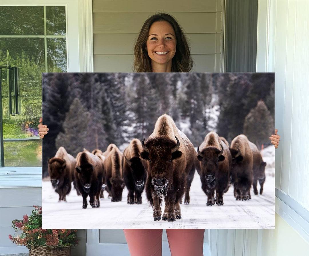 Bison Herd Canvas Wall Art.