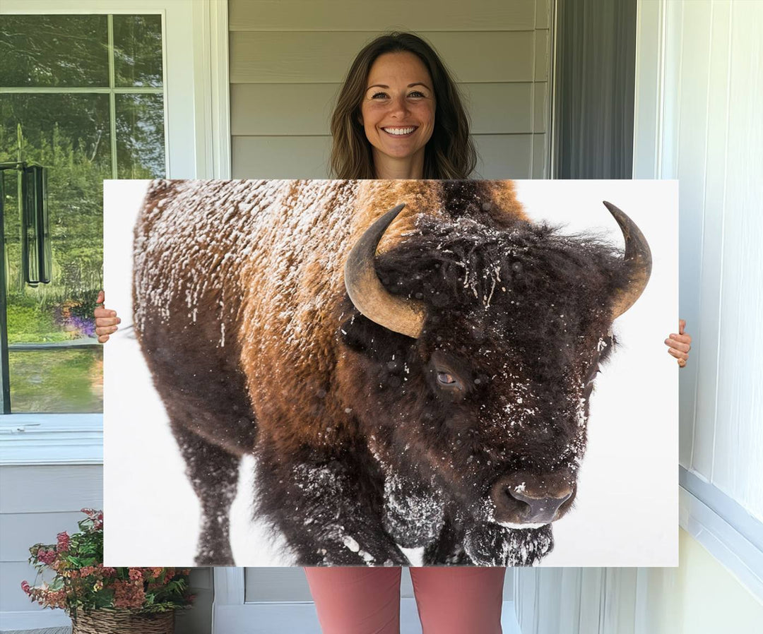 Bison Wall Art Canvas.