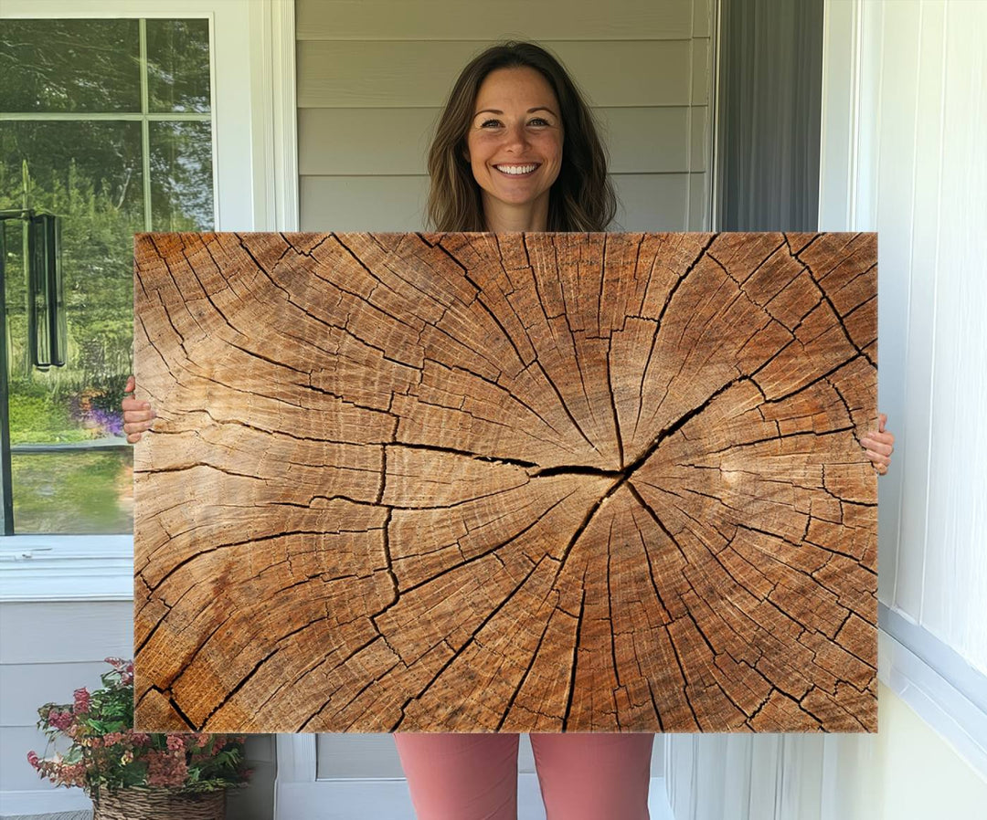 Tree Ring Canvas Art decorates a textured wall.