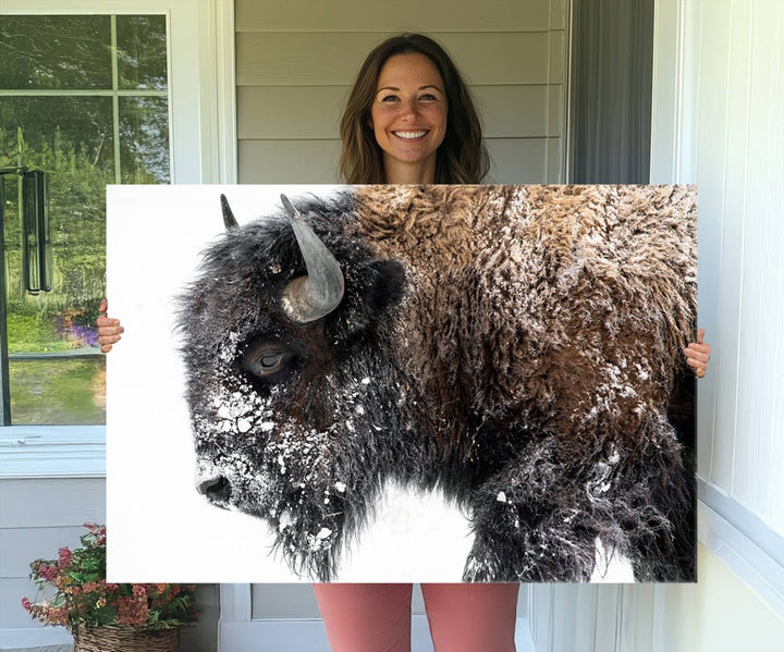 The American Bison Wall Art Print is prominently displayed on the wall.