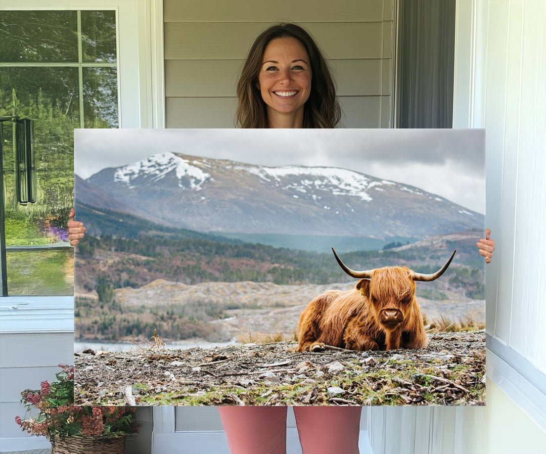 Highland Cow Horn Farm Wall Art Canvas Print is displayed against a wooden wall featuring a mountainous backdrop.