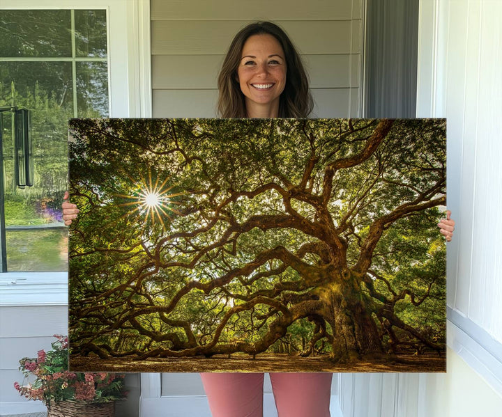 The Ancient Angel Oak Tree Art Sunburst Canvas Print, a framed triptych, serves as wall art.