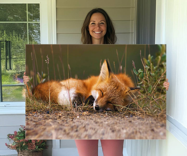 The Sleeping Fox Wall Art Canvas Print is ideal for farmhouse decor.