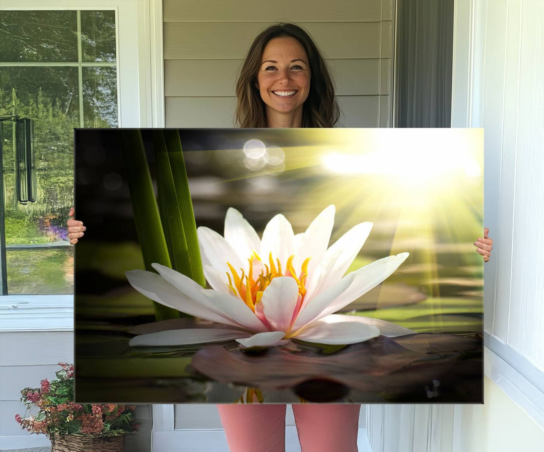 The Lotus Flower Wall Art Canvas Print showcases a white water lily with a yellow center floating gracefully in sunlight.