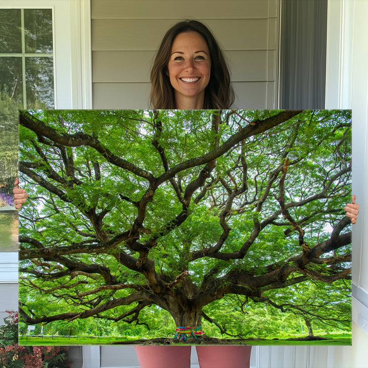 Oak Tree Wall Art Print, Forest Canvas Wall Art for Home and Office, Framed Angel Oak Tree Canvas Art Printing