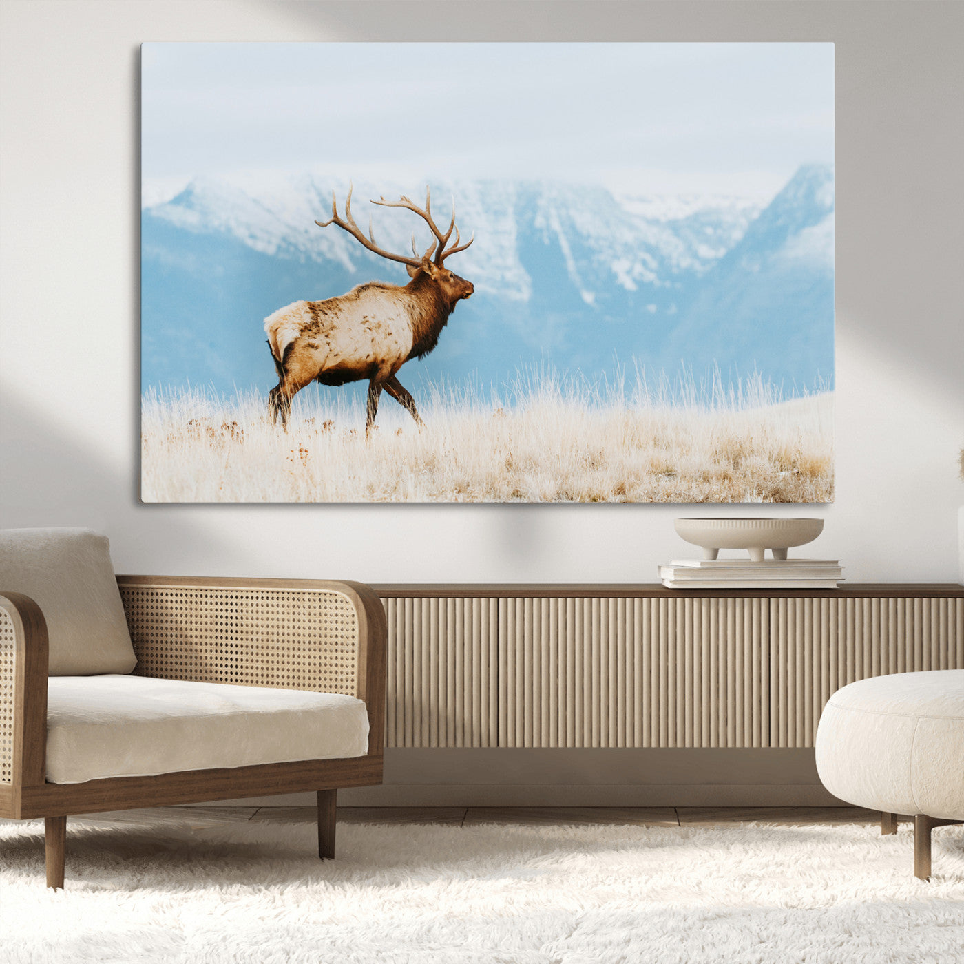 Majestic elk with antlers walking on golden grass, snowy mountains behind, perfect for rustic lodge or Scandinavian decor.