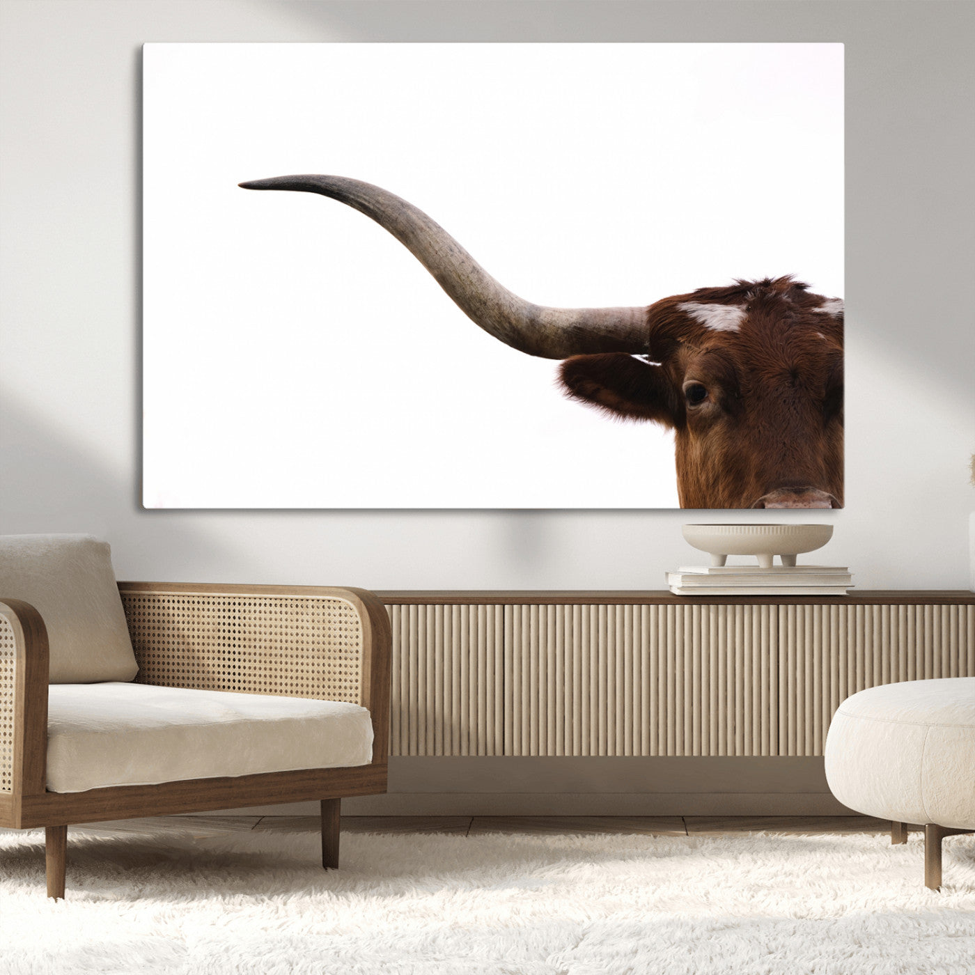Close-up of Texas Longhorn horn and eye on white background, perfect for minimalist or modern farmhouse style wall decor.