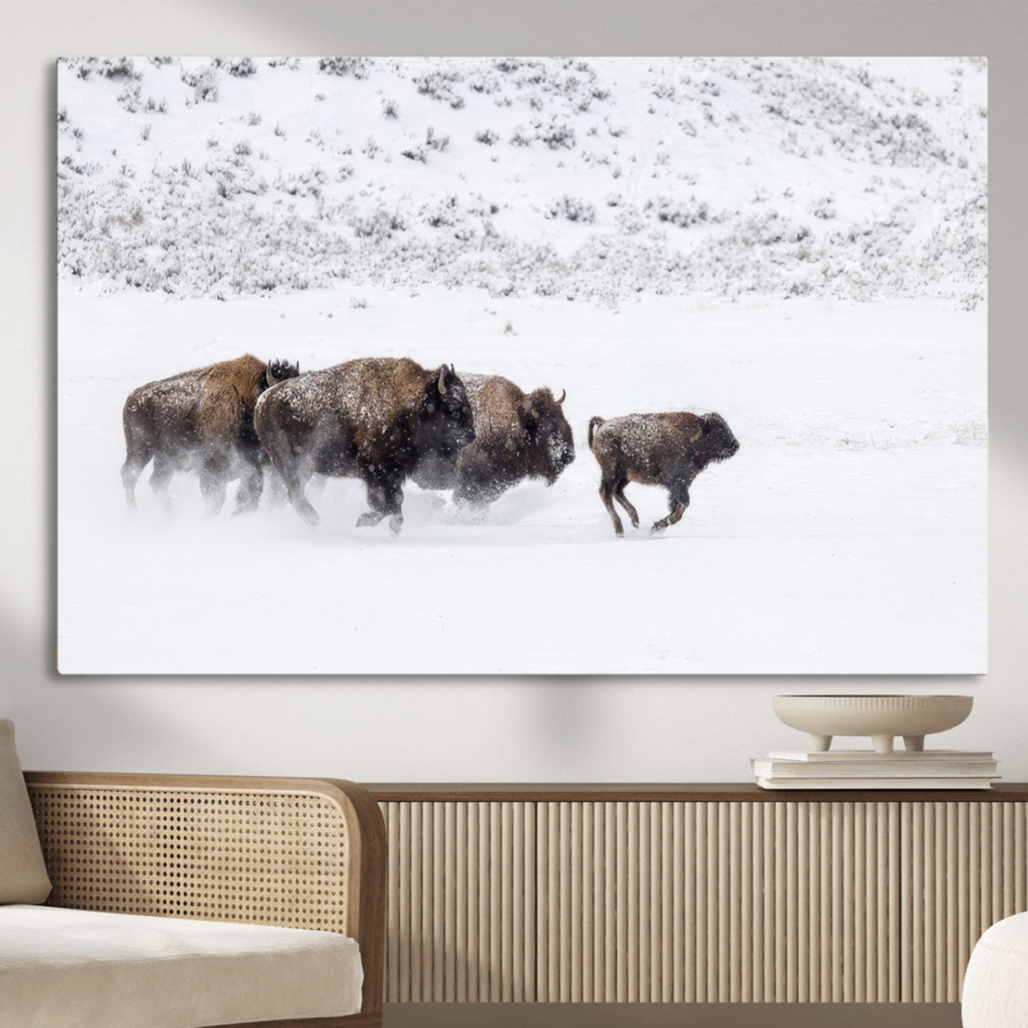 Bison herd running through a snowy open field with mountain backdrop, perfect for rustic or western-themed wall decoration.