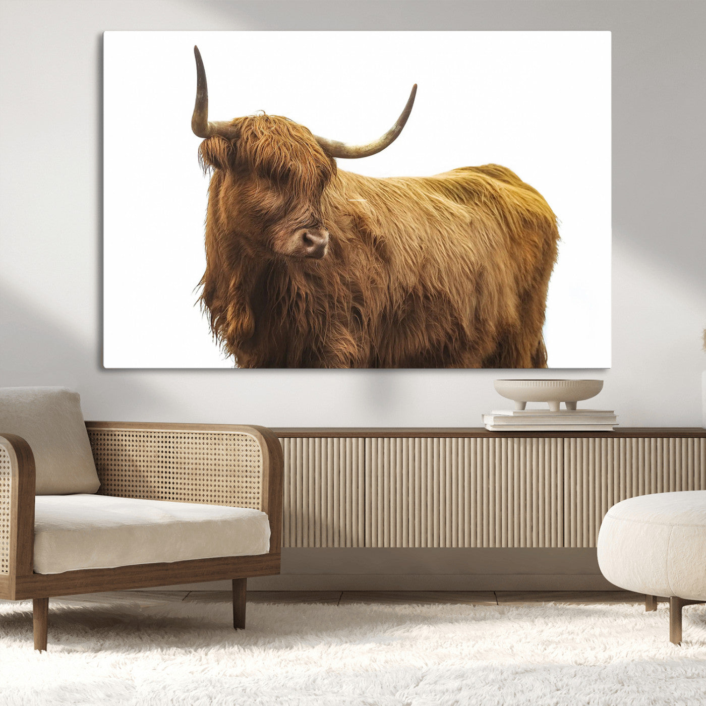A highland cow with long horns and shaggy fur standing calmly, isolated on white background, ideal for rustic or farmhouse wall decor.