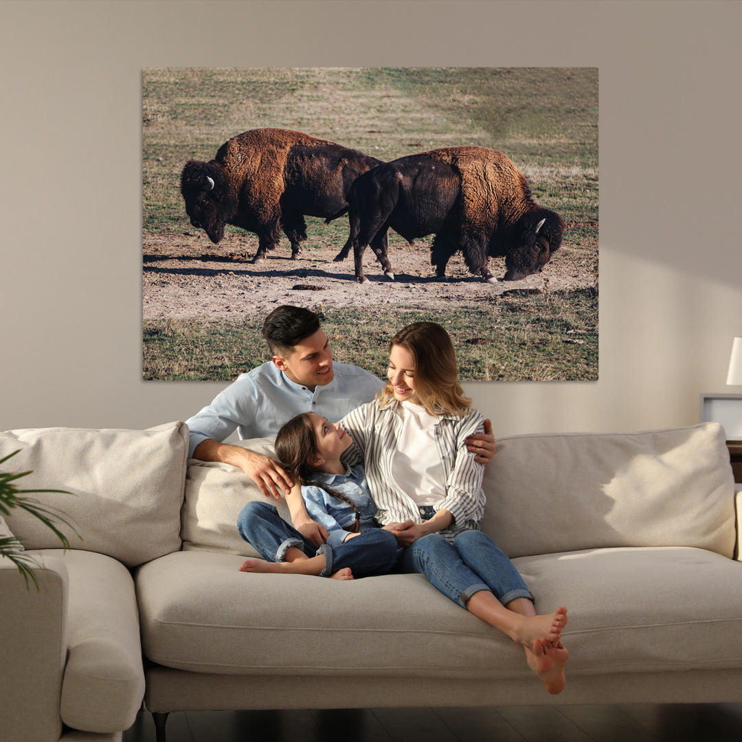 Bison Photography Wall Art Canvas Print, Framed Western Wildlife Art Picture Print, Modern Ranch Perfect Western Rustic Decor Artwork