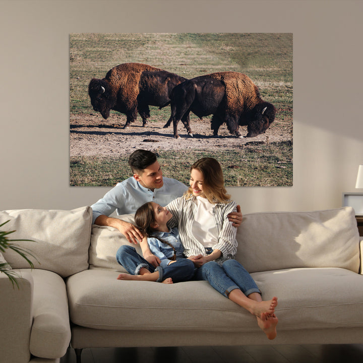 Bison Photography Wall Art Canvas Print, Framed Western Wildlife Art Picture Print, Modern Ranch Perfect Western Rustic Decor Artwork