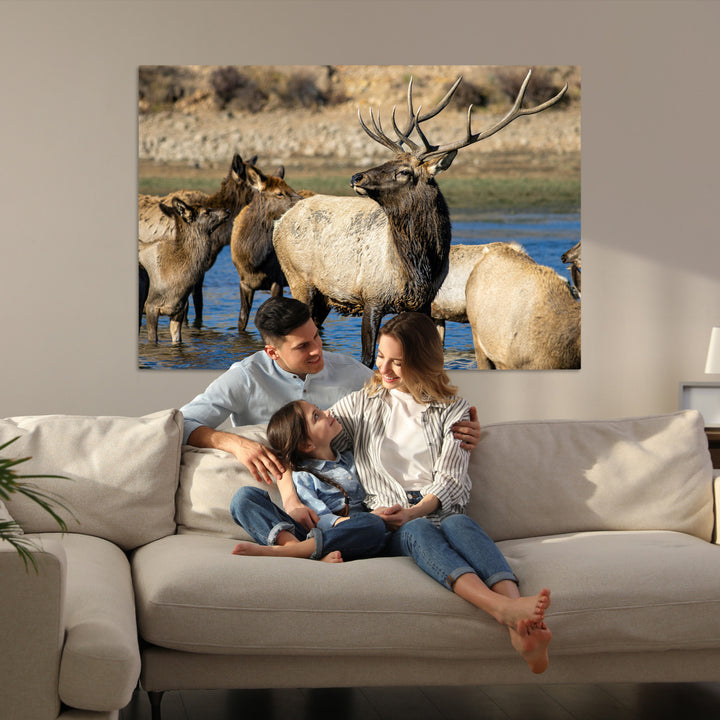 Wild Elk Photography Wall Art Canvas Print, Framed Neutral Wildlife Scene Art Picture Print, Rustic Animal Print Perfect Rustic Farmhouse