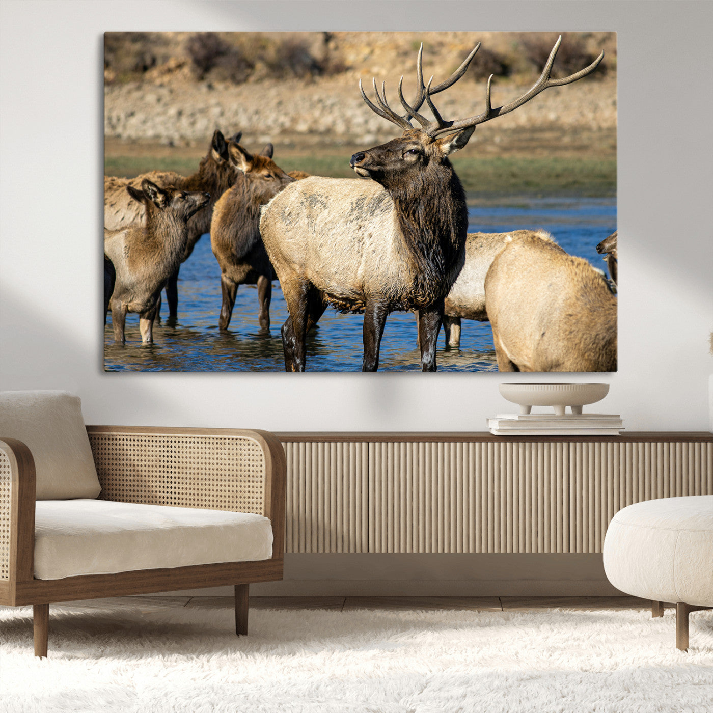 Group of elk standing in shallow water with dry rocky terrain in the background, showcasing wildlife in a natural setting for rustic decor.