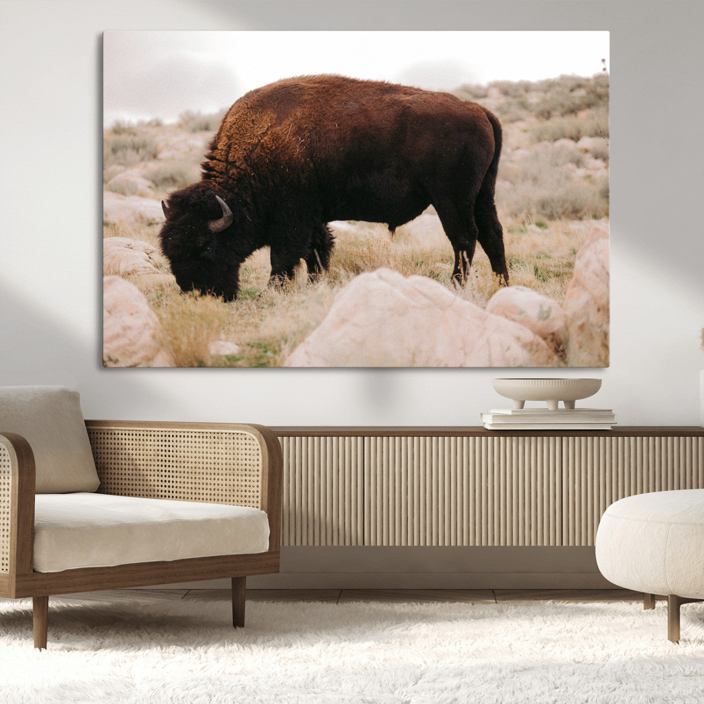 A solitary bison grazing in a rugged prairie with earthy tones and scattered rocks, capturing the essence of the American West for rustic decor.