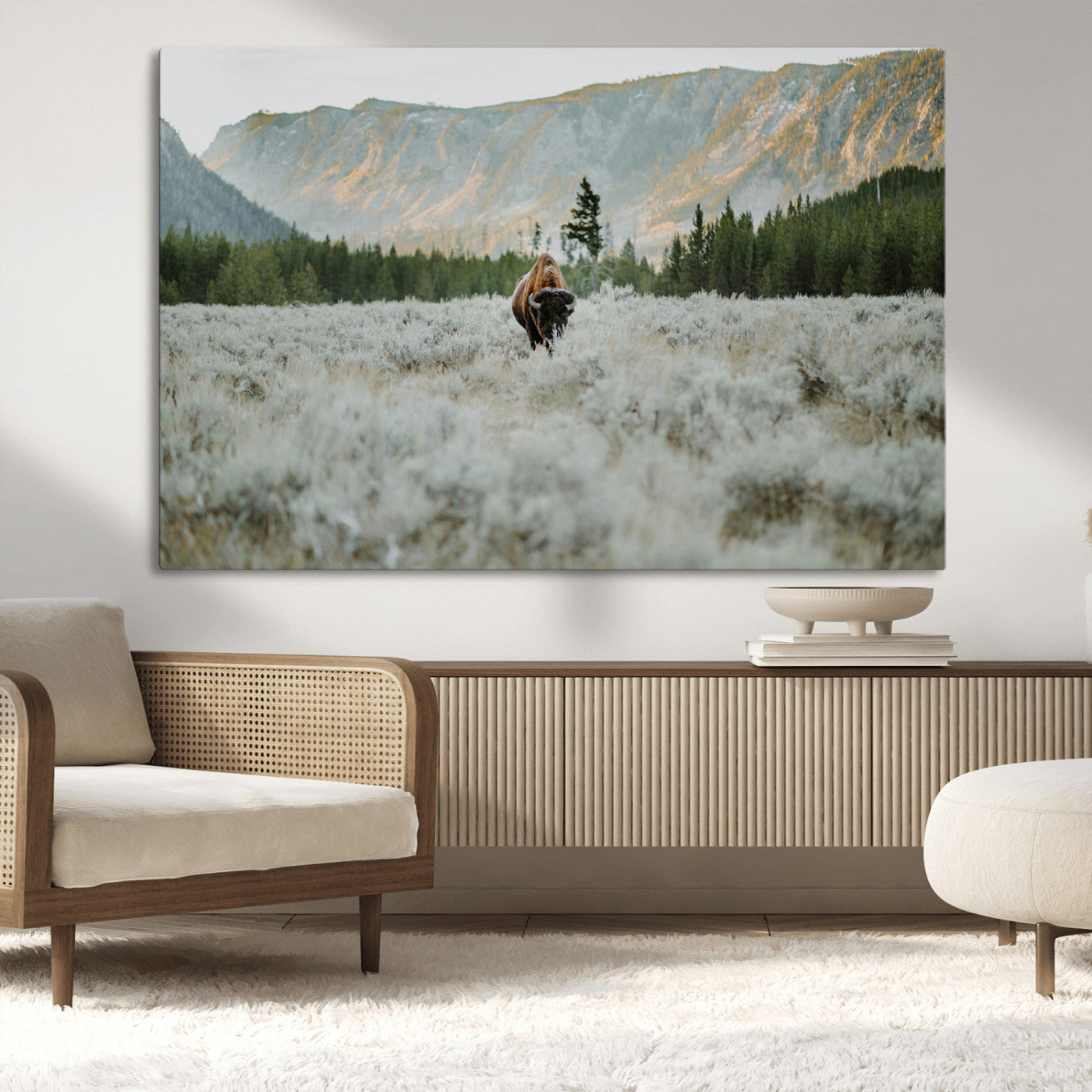 Lone bison standing in a frosted sagebrush field with a pine forest and rugged mountain range in the background under soft morning light – Wall Art Canvas Print.