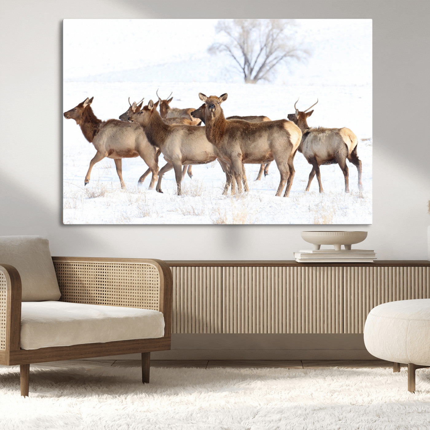 A herd of elk standing on snow-covered ground with a bare tree in the background, showcasing natural wildlife in a winter landscape.