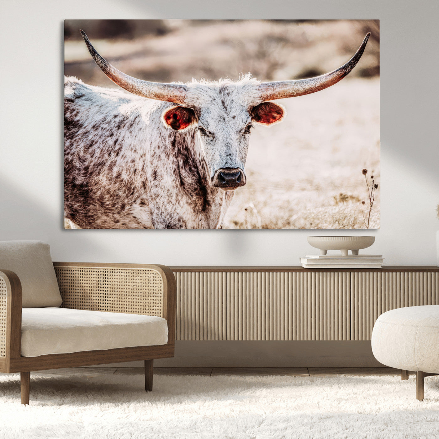 Close-up photograph of a white and brown speckled longhorn cow with very large, curved horns standing in a sunlit field with dry grass and blurred background.