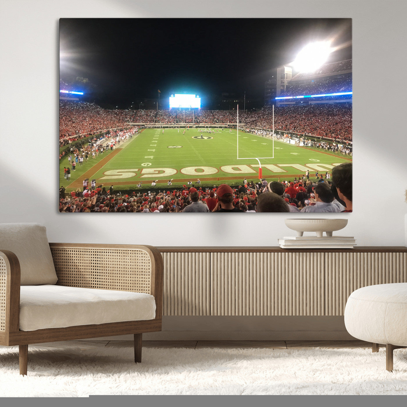 Dooley Stadium Wall Art Print, Sports Arena Canvas Wall Art, Panoramic Stadium Canvas Print, Modern Athletic Field Art Printing