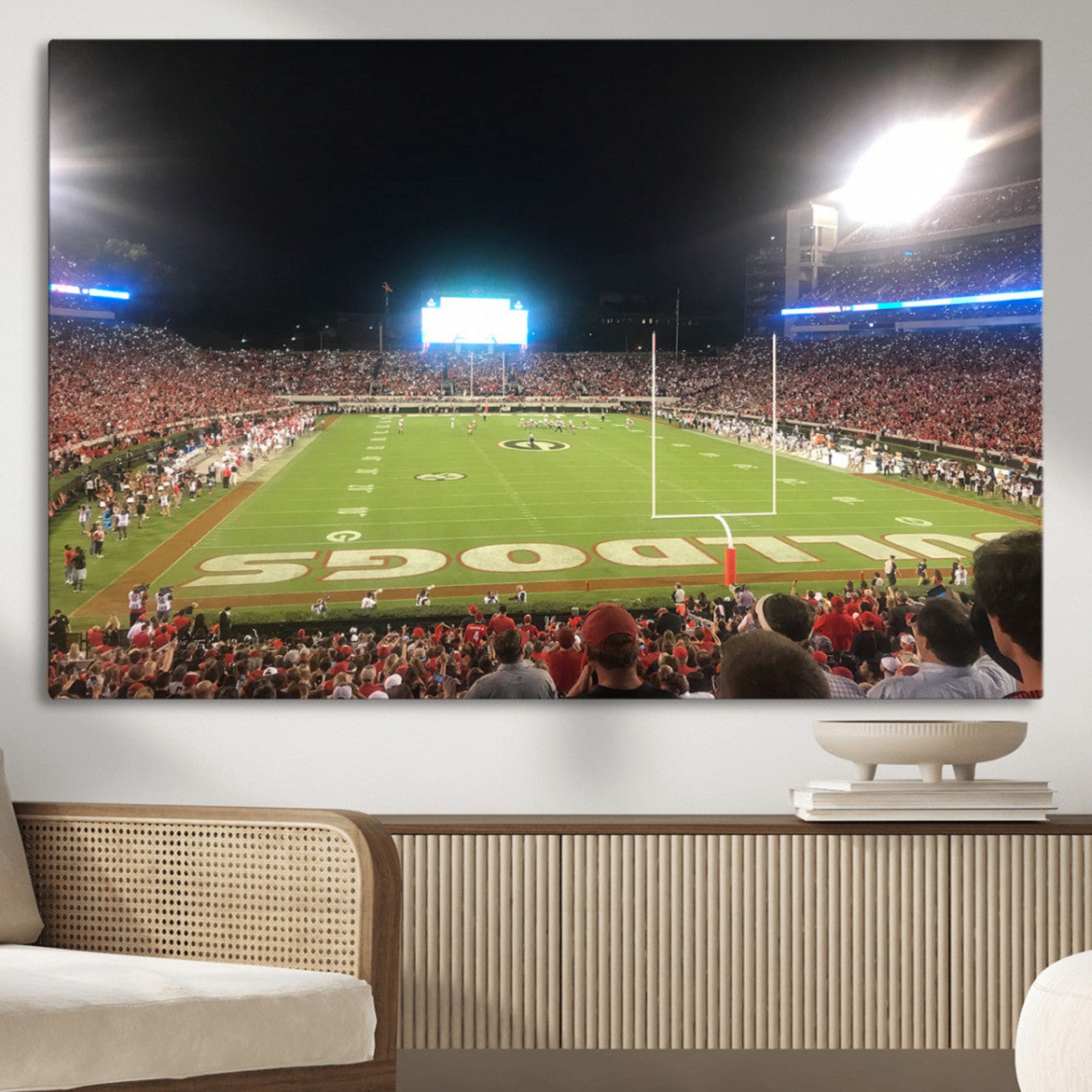 16230786-MGV-CV-36X24-Dooley Stadium Wall Art, Sports Arena Panoramic Canvas Print, Modern Stadium Landscape Artwork for Home, Office
