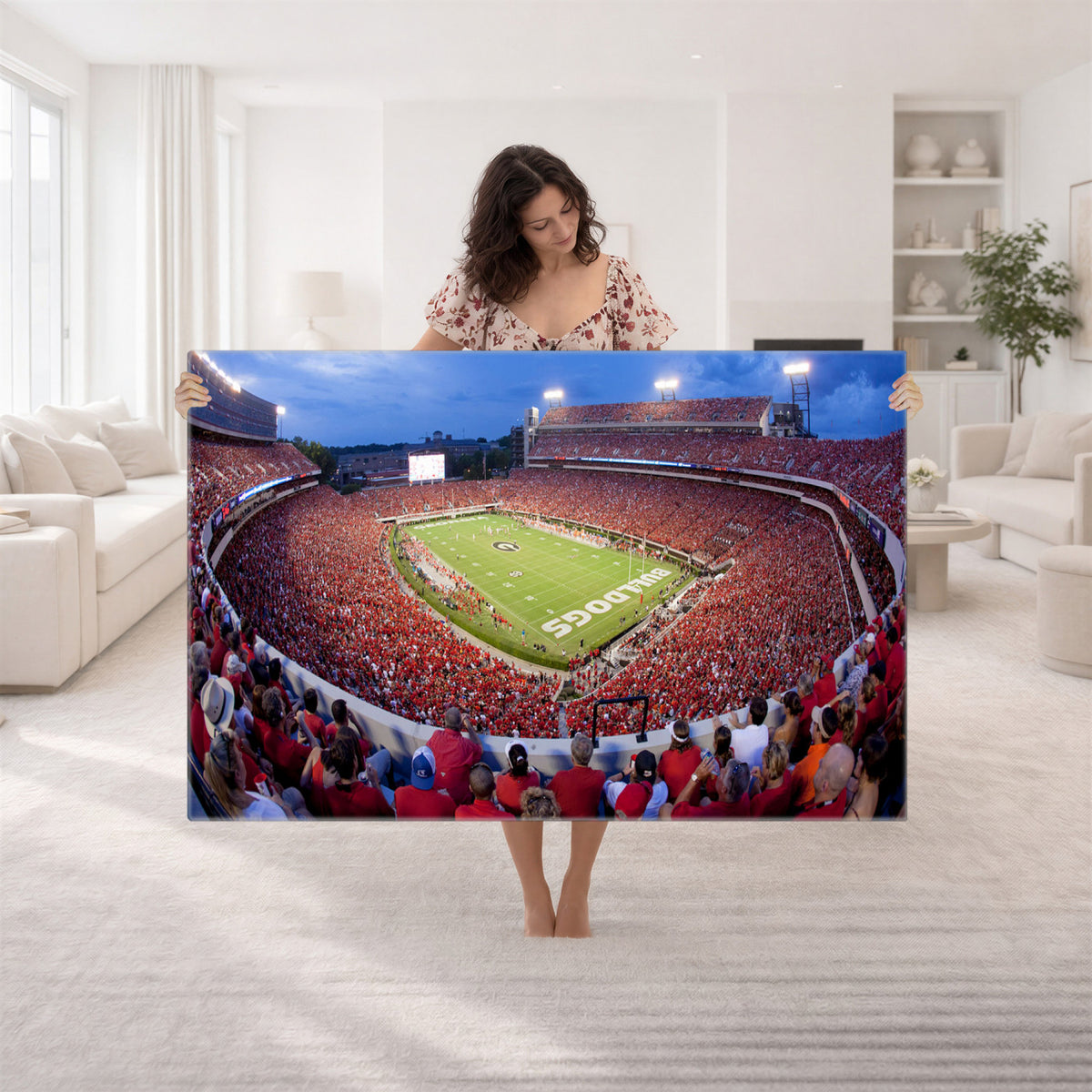 10244378-MGV-CV-36X24 - Dooley Stadium Wall Art, Sports Arena Canvas Print, Dooley Field, Home Bar Wall Decor