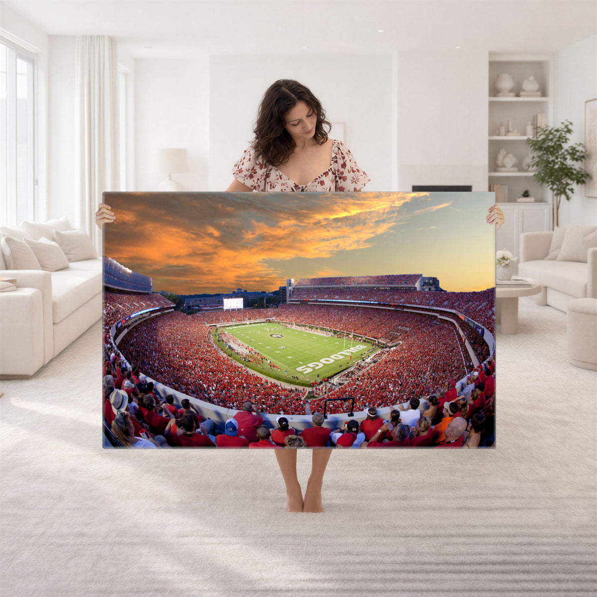 73680988-MGV-CV-36X24 - Dooley Stadium Wall Art, Sports Arena Canvas Print, Dooley Field, Framed and Ready to Hang