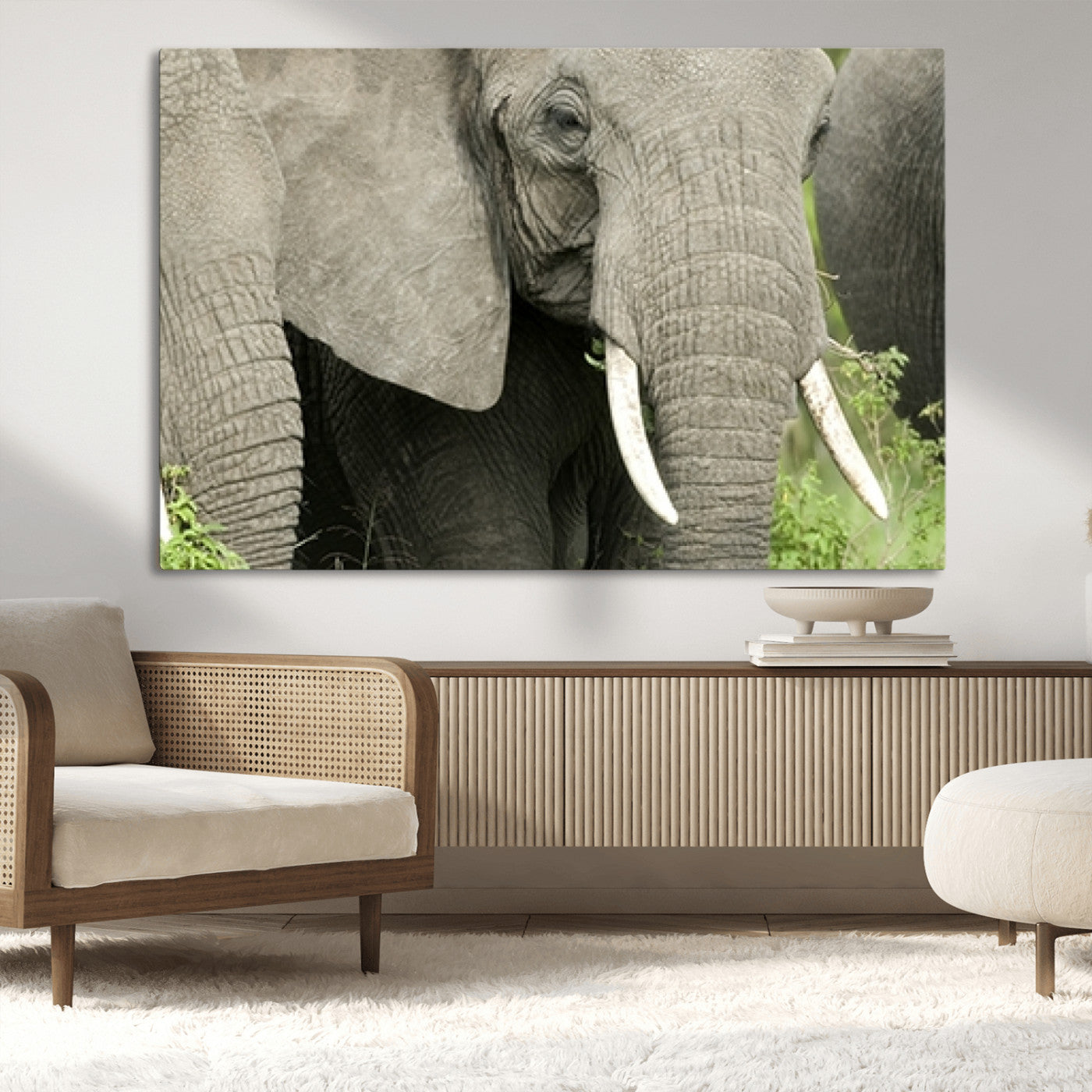 MGV-CV-36X24 - Wild Elephant Wall Art Canvas Print