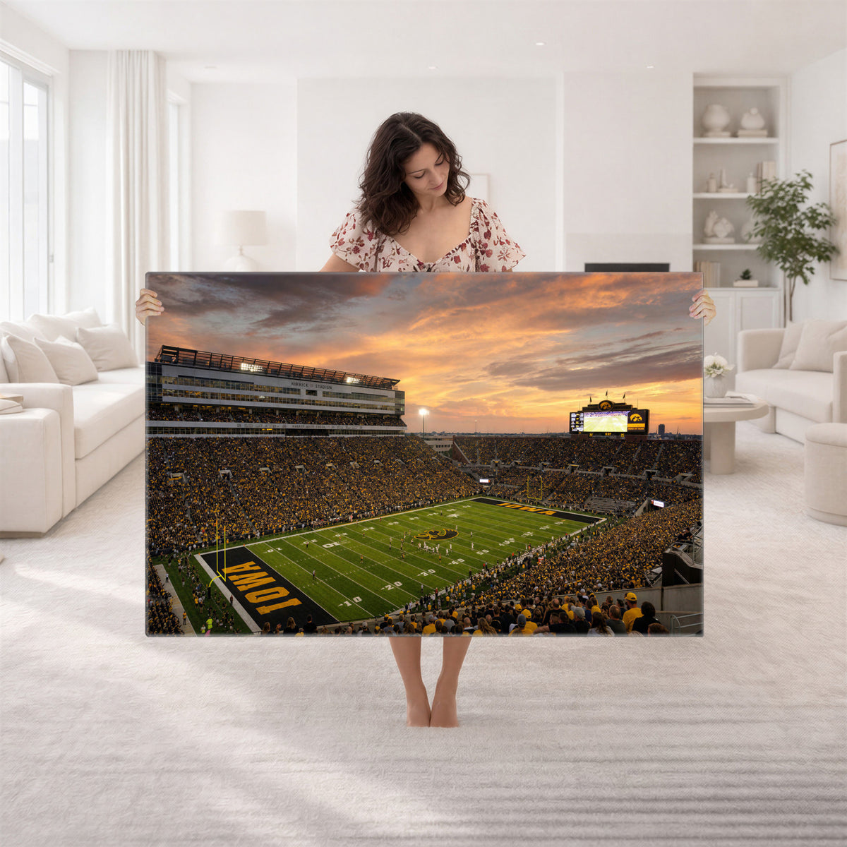 84993181-MGV-CV-36X24 - Stadium Wall Art Canvas Print