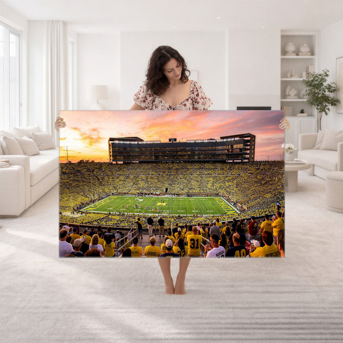 27265223-MGV-CV-36X24 - Stadium Wall Art Canvas Print