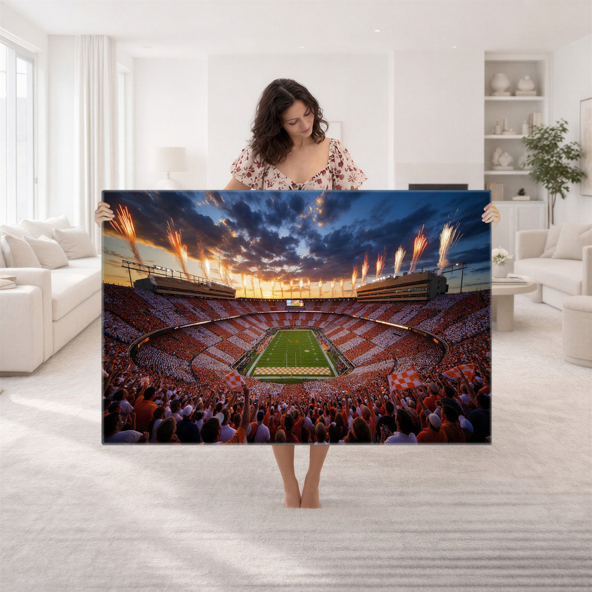 29672818-MGV-CV-36X24 - Stadium Wall Art Canvas Print