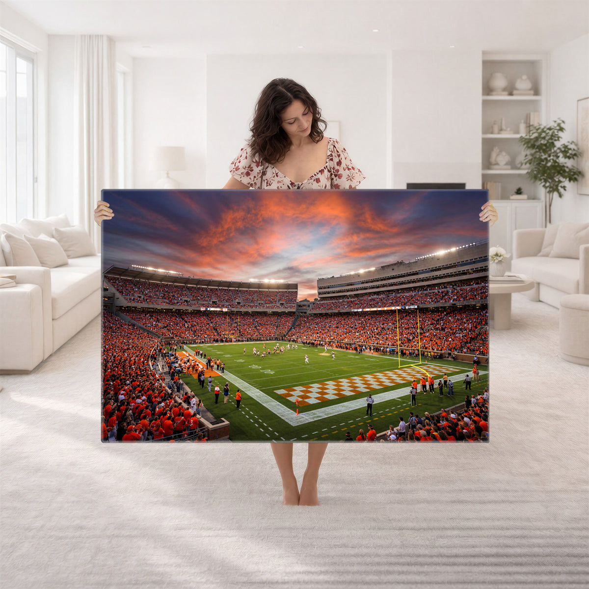 67648335-MGV-CV-36X24 - Stadium Wall Art Canvas Print