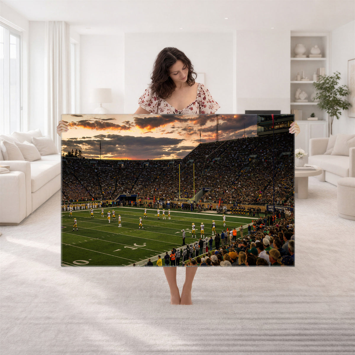 17703678-MGV-CV-36X24 - Stadium Wall Art Canvas Print