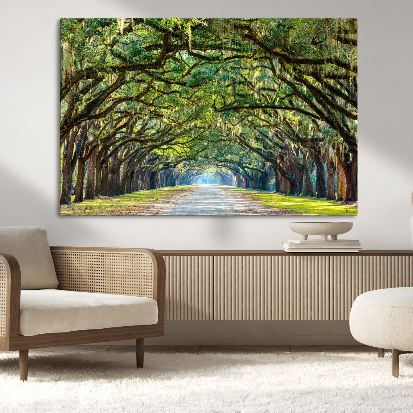 MGV-CV-36X24 - Wormsloe State Plantation Driveway Wall Art Canvas Print