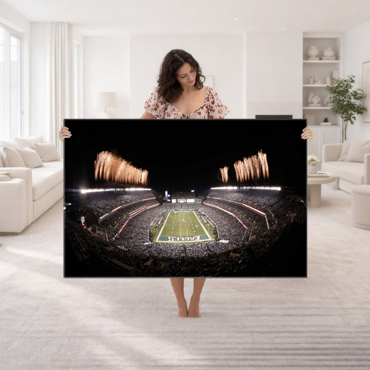 48893-MGV-CV-36X24 - Eagles Field Stadium Wall Art, Lincoln Financial Field