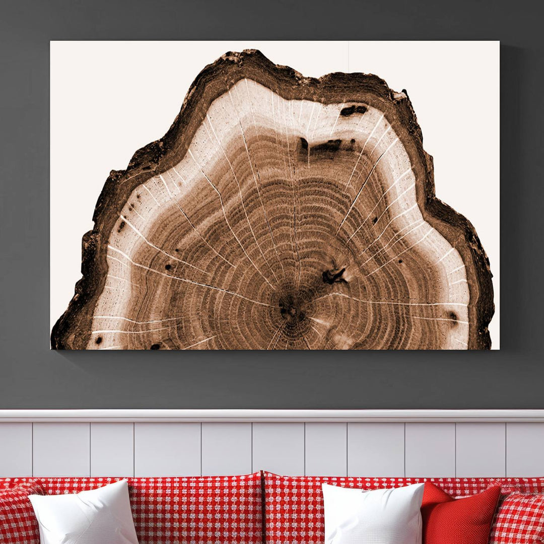 Close-up of the Rustic Wood Rings Wall Art featuring detailed tree rings and natural texture on a plain white background.